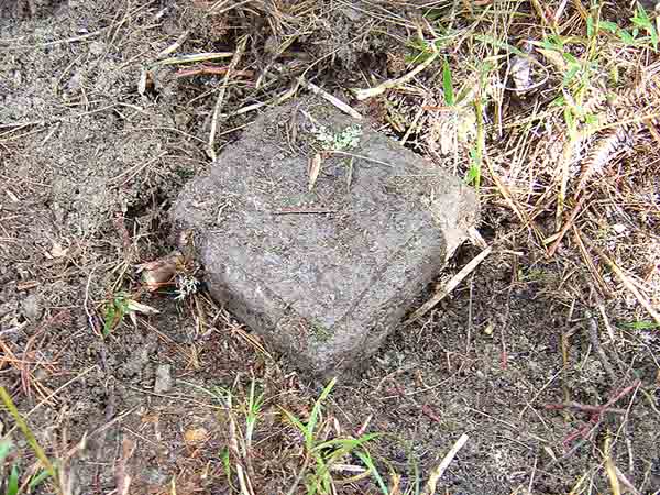 一点不出头〔字迷〕答案