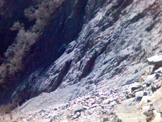 如果有一天我想不开怎么办_恋爱_奇飞知识网