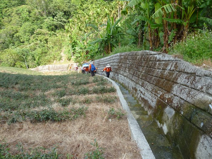 山,鳄鱼头,八卦茶园,千岛湖登山简讯 祥马图集
