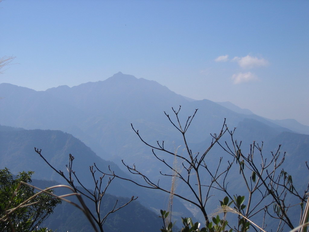 山东哪有卖鹅苗套图|山东哪有蹦极的地方|山东哪有蹦极