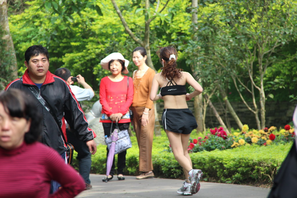 2012新竹十八尖山賞花月.森林步道[101/3/18]