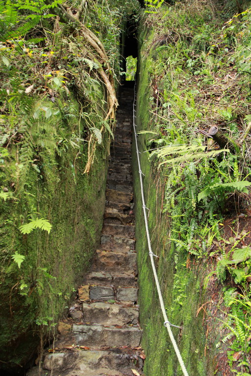 五指山金龜岩步道.猴洞步道Ｏ型