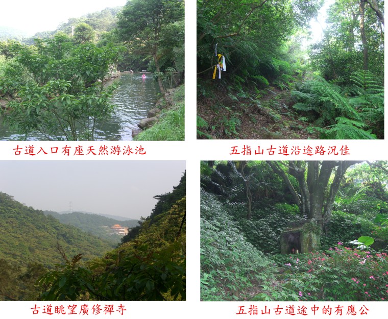 五指山古道與友蚋山南峰O型路線-五指山山區上青ㄟ的古道 - 登山補給站