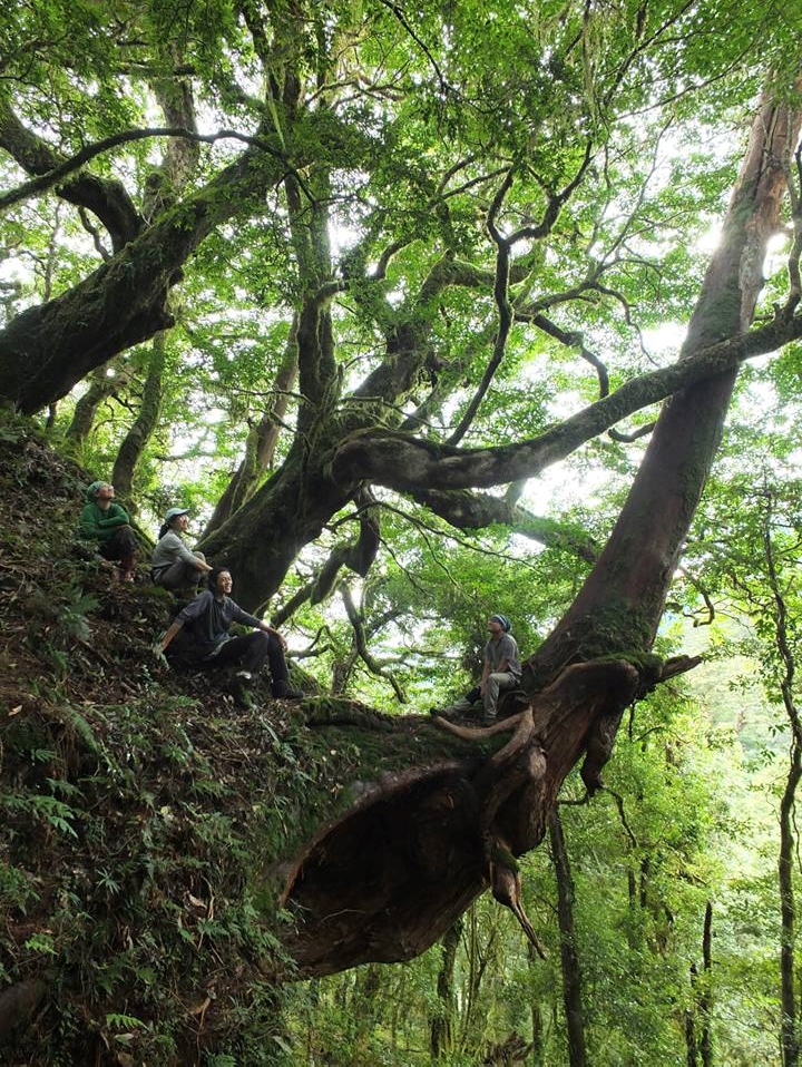 美奈田動物之旅～走入山裡看見你（8/7報名截止）
