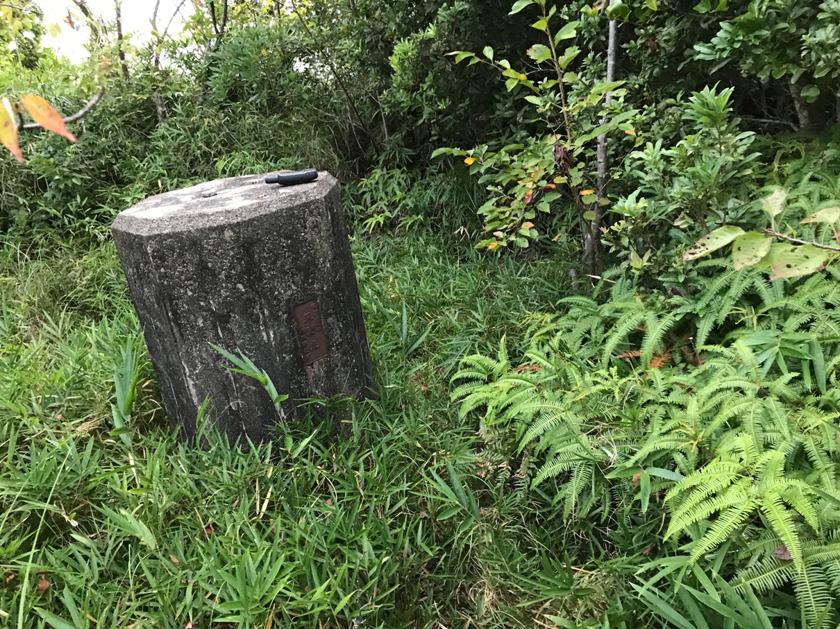 日本關西三角點自由行﹝七﹞：和歌山縣串本驗潮場的附屬水準點三號，順訪宇久井、太地、上野、平草原、西山、及沿途的水準點