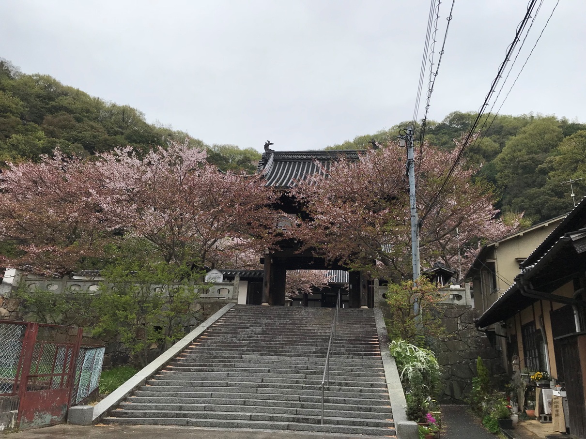 日本中国賞櫻登山自由行 七 竹原市北堀綠地 朝日山 善入寺 岡田山 尾道市向島 高見山 福山市神勝寺 上山南 及沿途的一等水準點 日本中国賞櫻登山自由行 七 竹原市北堀綠地 朝日山 善入寺 岡田山 尾道市向島 高見山 福山市神勝寺 上山南 及沿途的一等水準點
