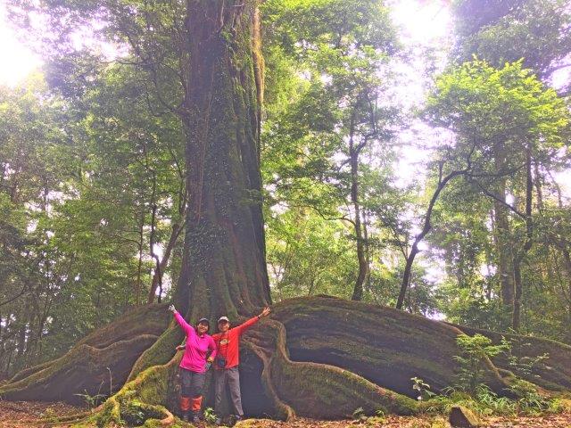 雪見 北坑 大板根悠遊2019 6 29 登山補給站