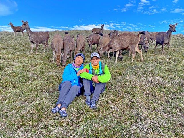 能高安東軍縱走 與高山湖泊 水鹿大軍相遇2020 4 29 5 4 登山補給站