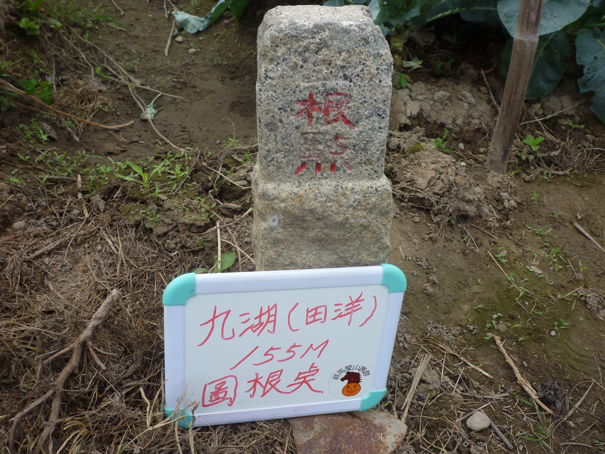 二十二121苖栗縣銅鑼鄉（菊祥如芋，賞心悅目）（含樟樹林、銅鑼交流道、九湖、銅鑼村、銅鑼國小、天后宫、朝陽村基石）