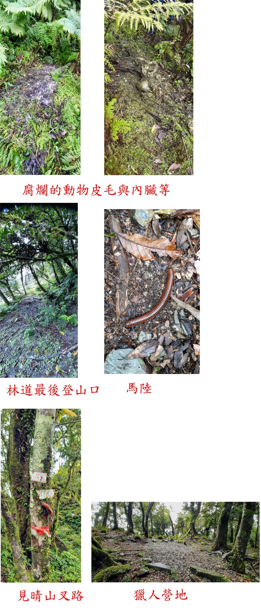 漫漫長路的加太奈山 台東基石巡禮篇1 登山補給站 漫漫長路的加太奈山 台東基石巡禮篇1 登山補給站