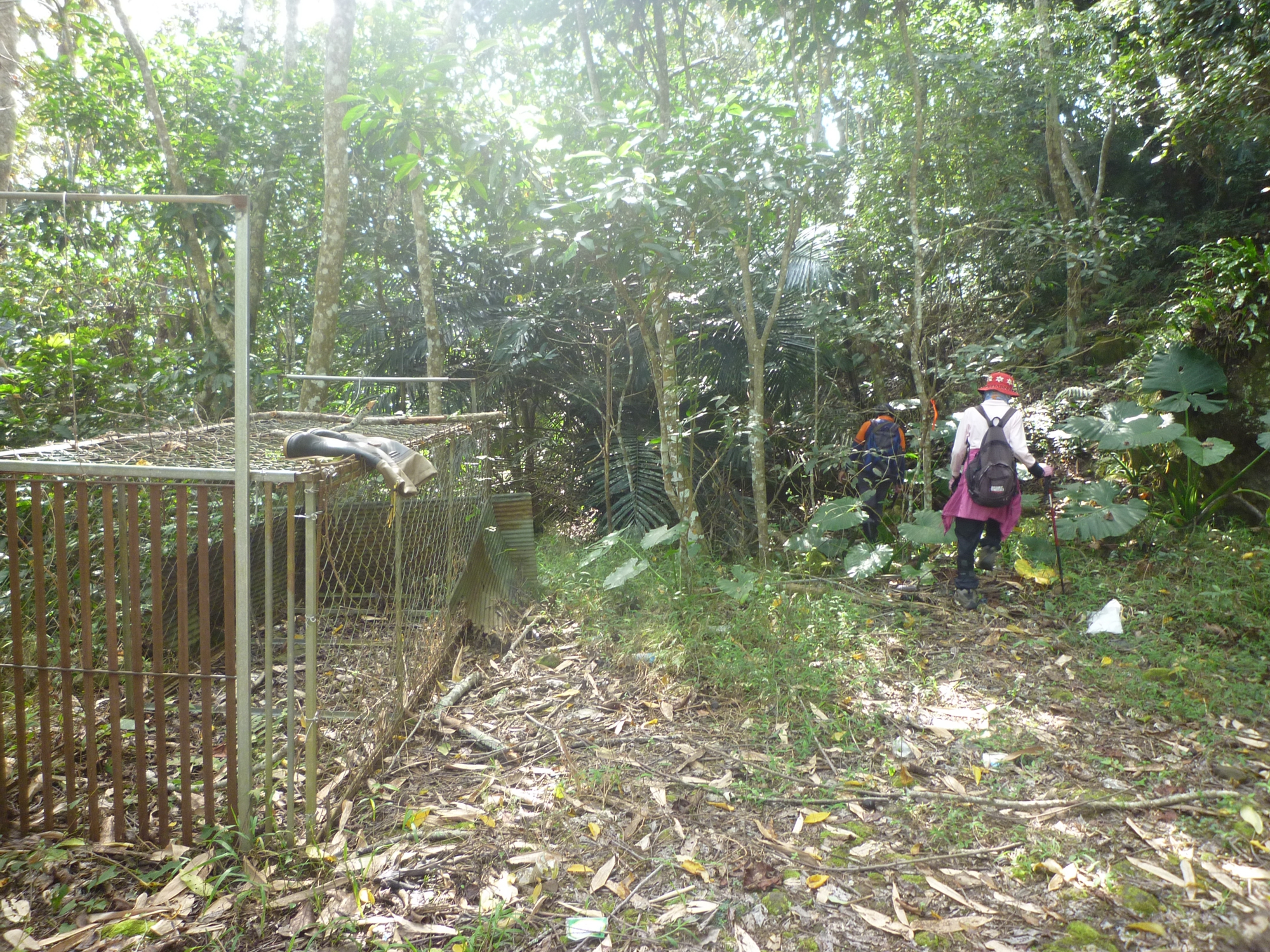 二十三2雲林縣古坑鄉出合山東峰和嘉義縣阿里山鄉豐山登山簡訊