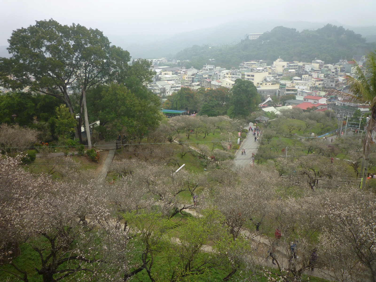 Ryobi D48c Cheapest Buy, 43% OFF 