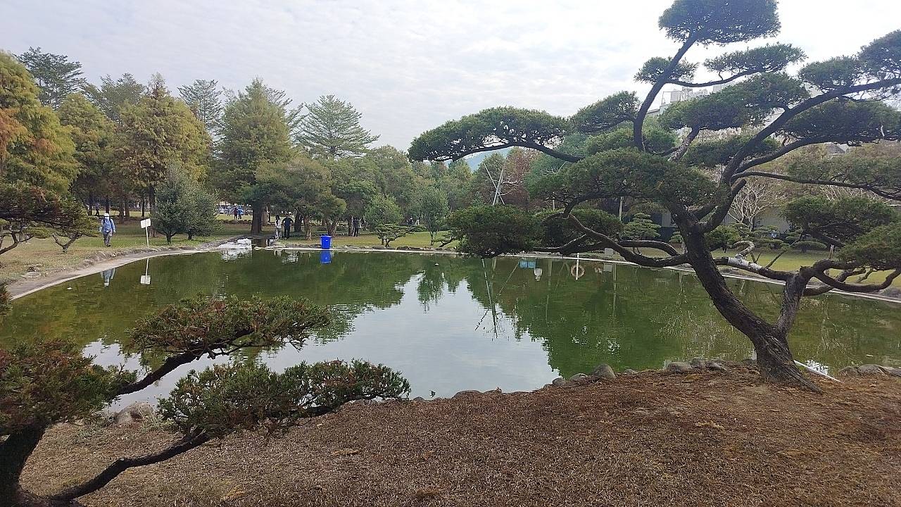  二十七82南投縣名間鄉欣美創意園區落羽松閒情逸致樂無窮