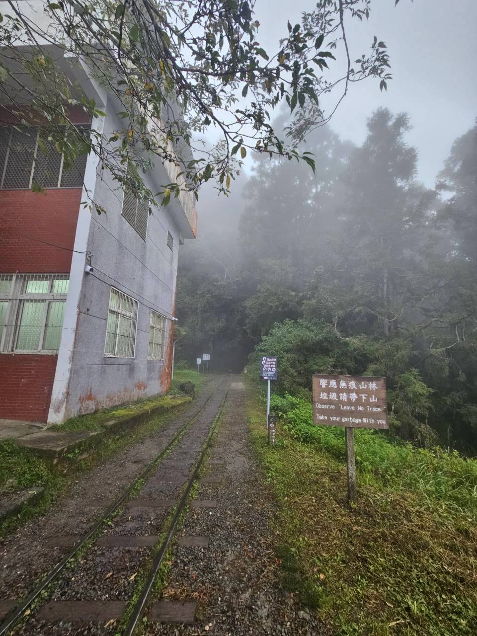 石山引水道、霞山鐵道、鹿林神木與特富野古道-嘉義步道與基石之旅DAY2