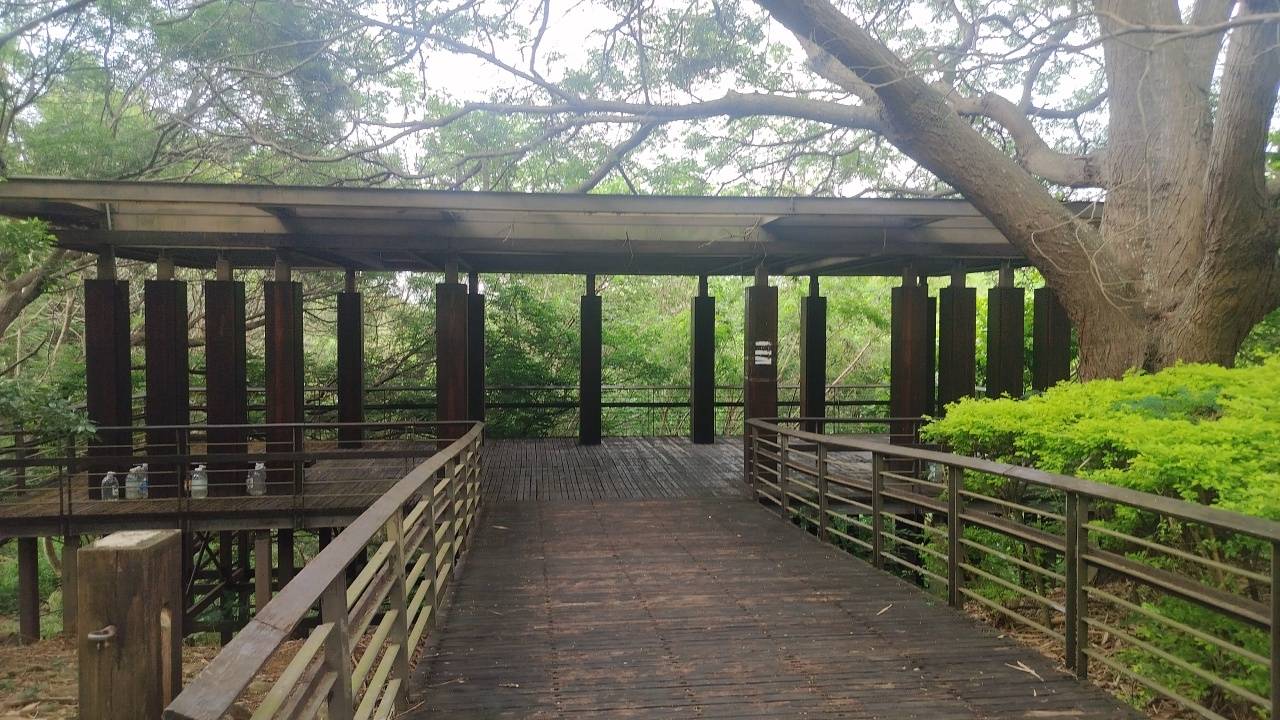 二十八43台中市西屯區東大公園空中廊道和諾亞方舟步道尋幽覓静森林浴