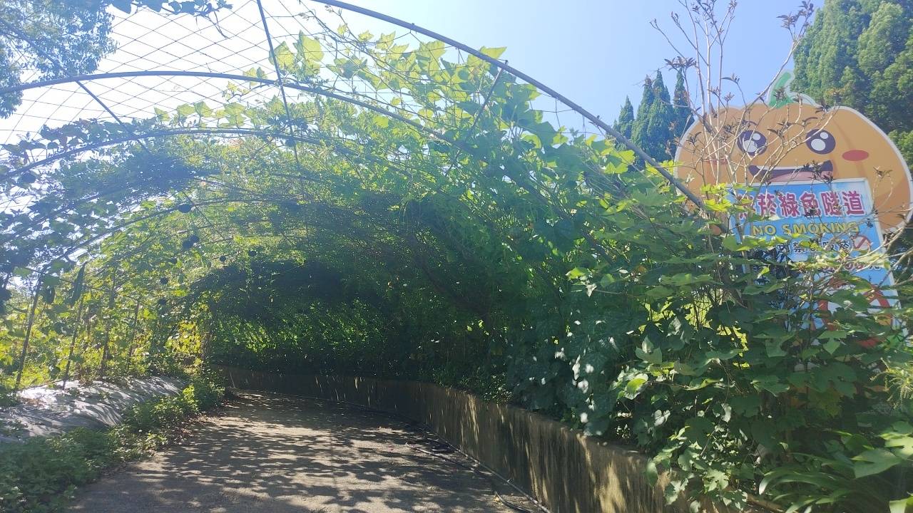 二十八41苗栗縣造橋鄉1苗翔牧場南瓜隧道2造橋好客綠色廊道閒情逸致
