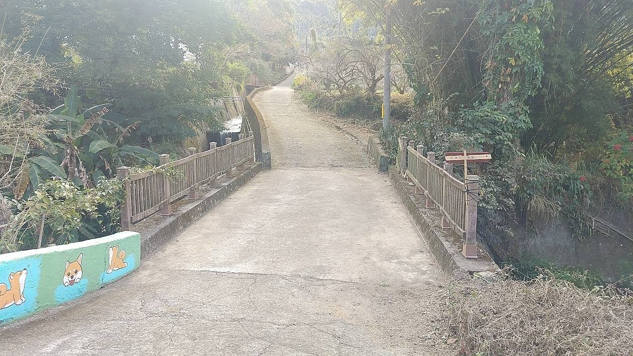 二十八7台中市新社區梅花隧道串連梅花森林賞花沐郁馥