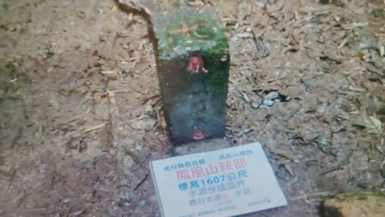 二十八65南投縣鹿谷鄉1鳳凰山鞍部2鳳凰山鞍部南3鳳凰山鞍部北登山簡訊