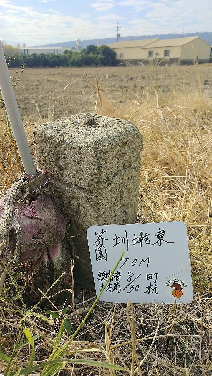 二十八13彰化縣芬園鄉百日菊花田美景正逢時(含再訪牛埔和圳墘東基石）