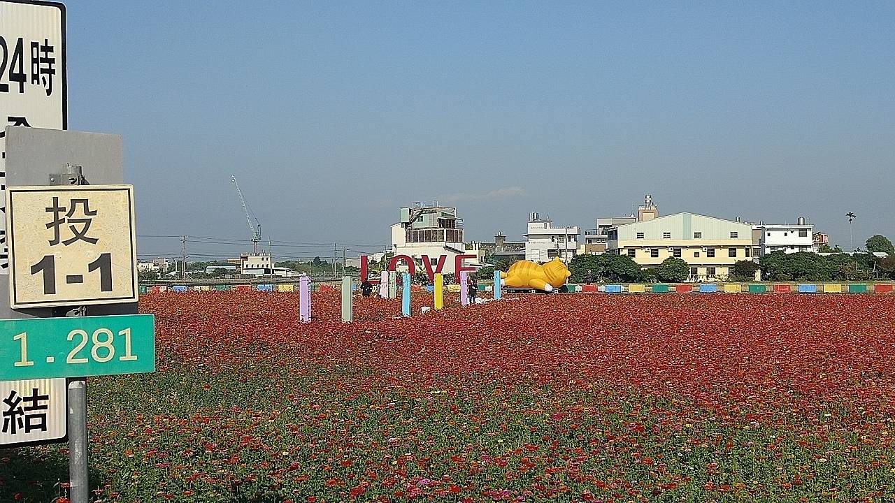 二十八5南投縣草屯鎮彰明電子花海庭園與花邂逅(含再訪番子田和番子田西基石）