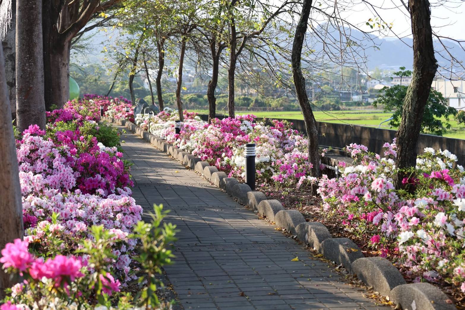 二十八27彰化縣社頭鄉忠義路水岸景觀廊道陶遨花迎春（含再訪厝社和社頭基石）