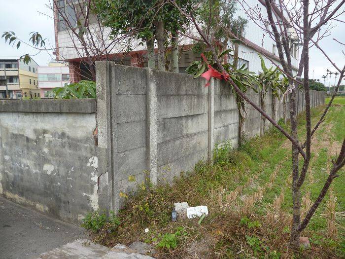 二十八19台中市大雅區和向日葵，粉紅蕎麥花，油菜花不期而遇（含再訪上員林和六張犁基石）