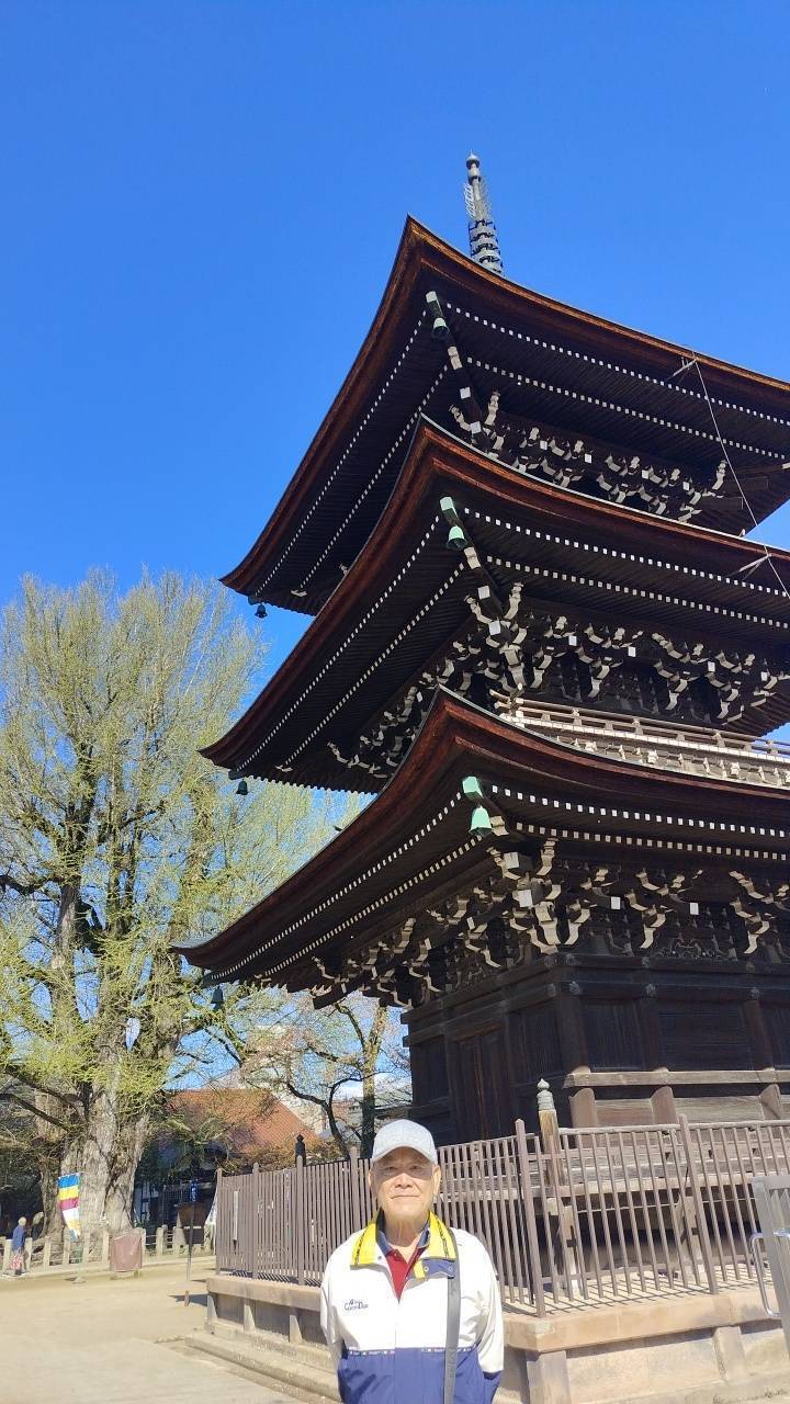 二十八36日本中部背包客自由行(一)：1犬山城2飛驒高山山王祭3 東山遊步道4北山公園5飛驒古川