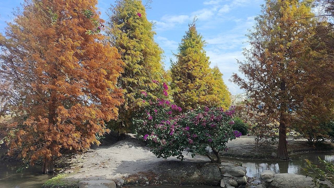 二十八17台中市后里區尾社福德祠「小橋流水彩虹徑，落羽松紅入佳境」(含風鼓崎陸檢9013ー等水準點）
