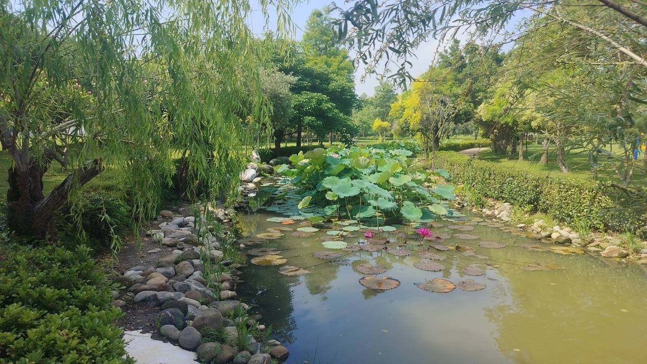 二十八42彰化縣秀水鄉龍騰公園「雙龍踞福地，荷韻菀芳菁」(含再訪山寮和馬鳴山基石)