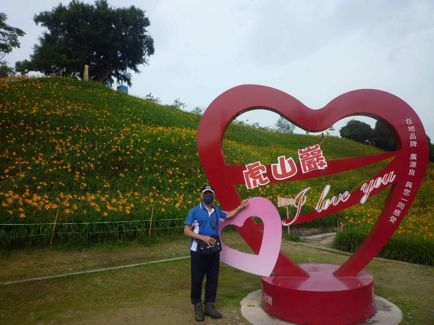 二十八40彰化縣花壇鄉虎山巖金針花開正逢時(含再訪中厝宅基石)