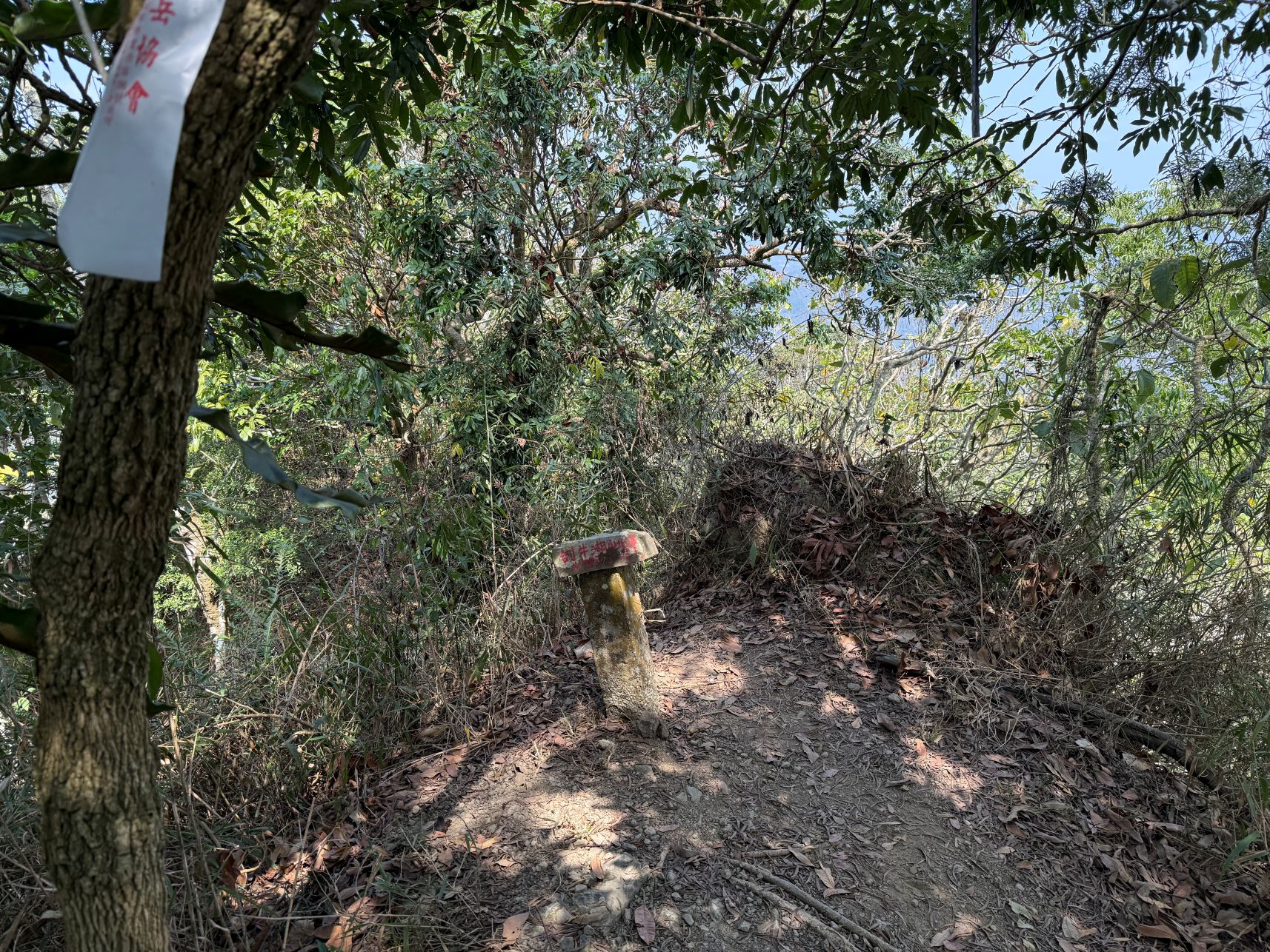 台南南化石松子山、福德宮（石松子山東北）、竹子尖東北、台牛湖山西南峰、台牛湖山南峰、台牛湖山、台牛湖山北、竹子尖、紫竹寺後山（竹子尖西南）、及竹子尖西南峰