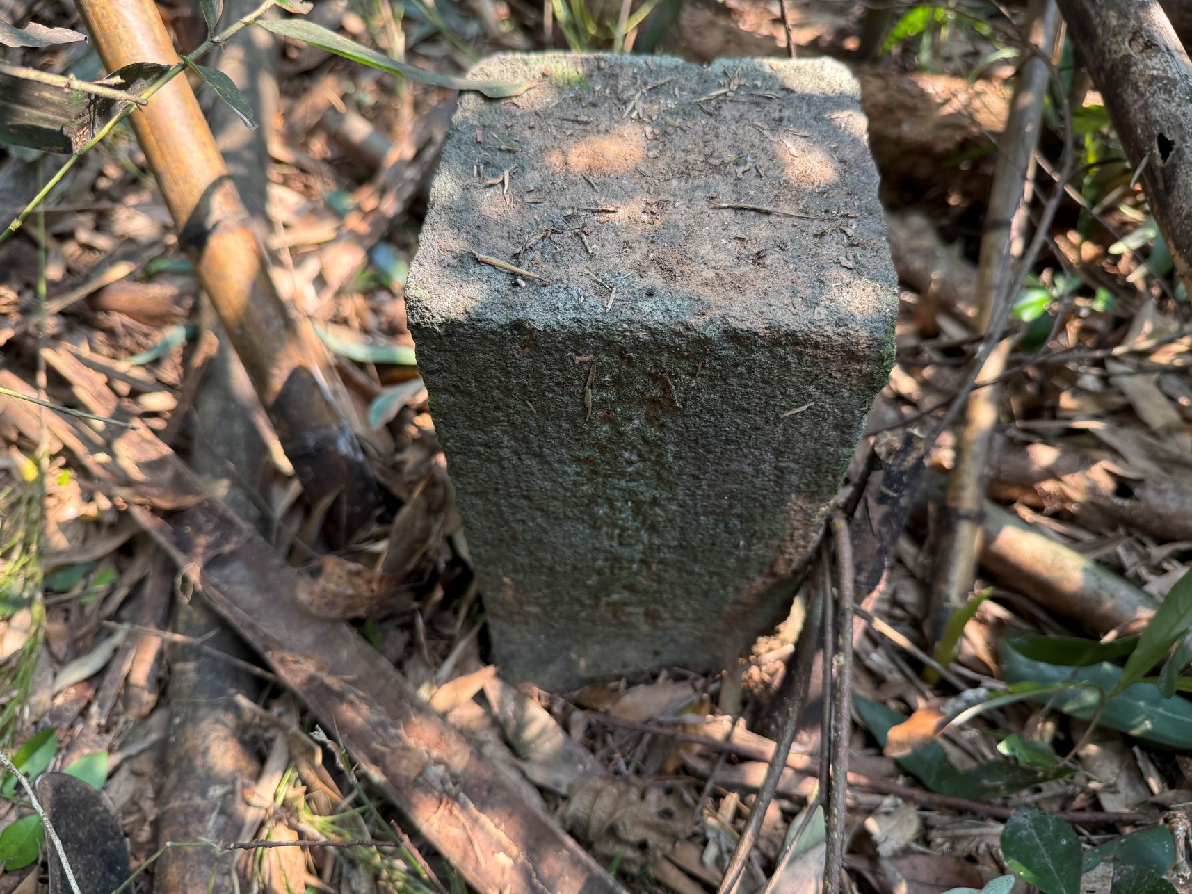 台東海端加平西、加樂山、紅石北（德高山）、陸安、及花蓮卓溪白端山