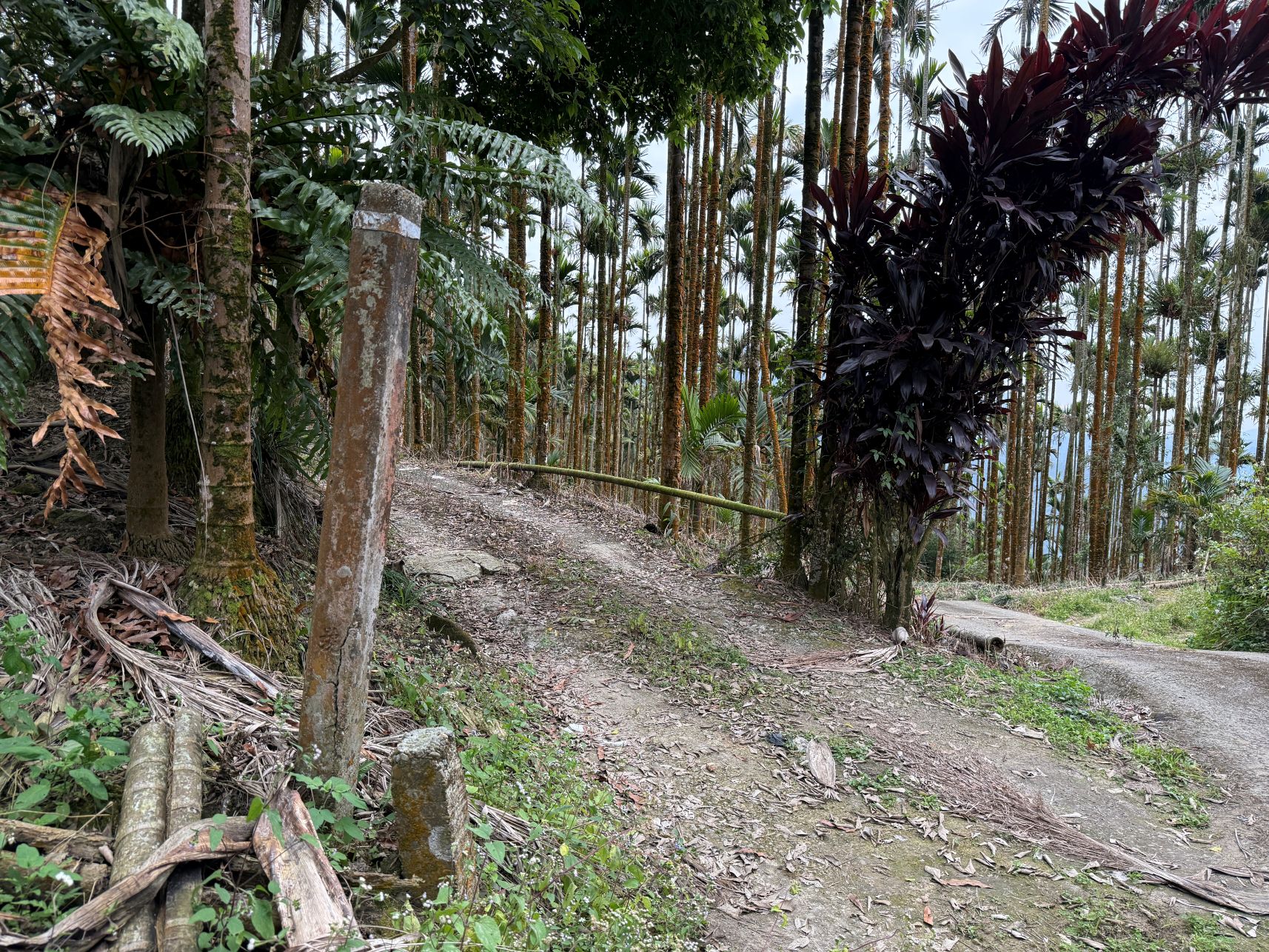 嘉義中埔及大埔的標石（三）：學仔、石硦、分水嶺、凍子頂、南寮、牛舌埔、馬頭山、及鳥埔等附近的標石；順訪梅山梨園寮車站東北的卫石